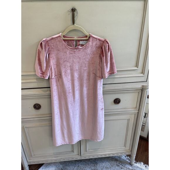 WAYF Women's Pink Velvet Suede Cocktail Mini Dress Size‎ XS - Picture 1 of 6
